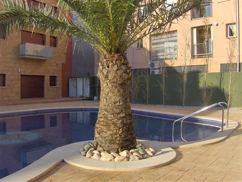 Residencial Santa Cristina - Piscina Comunitaria con Palmera