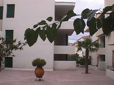Mare de Déu del Port - Detalle de Patio Interior