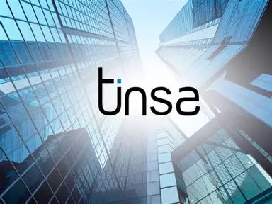 Tinsa